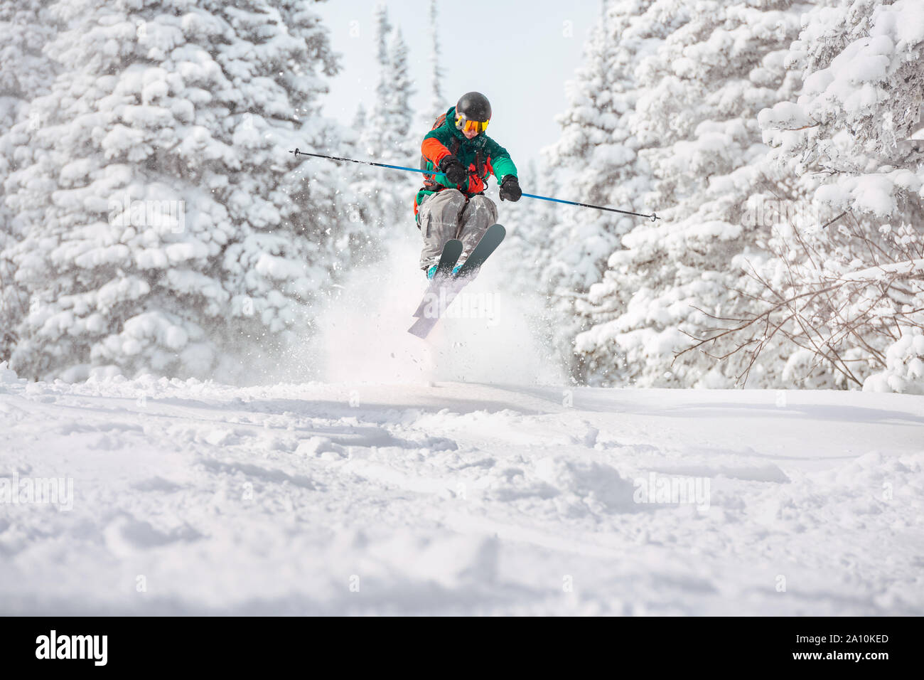 Fast skier freerides and jumps in snowy forest. Offpiste skiing concept Stock Photo