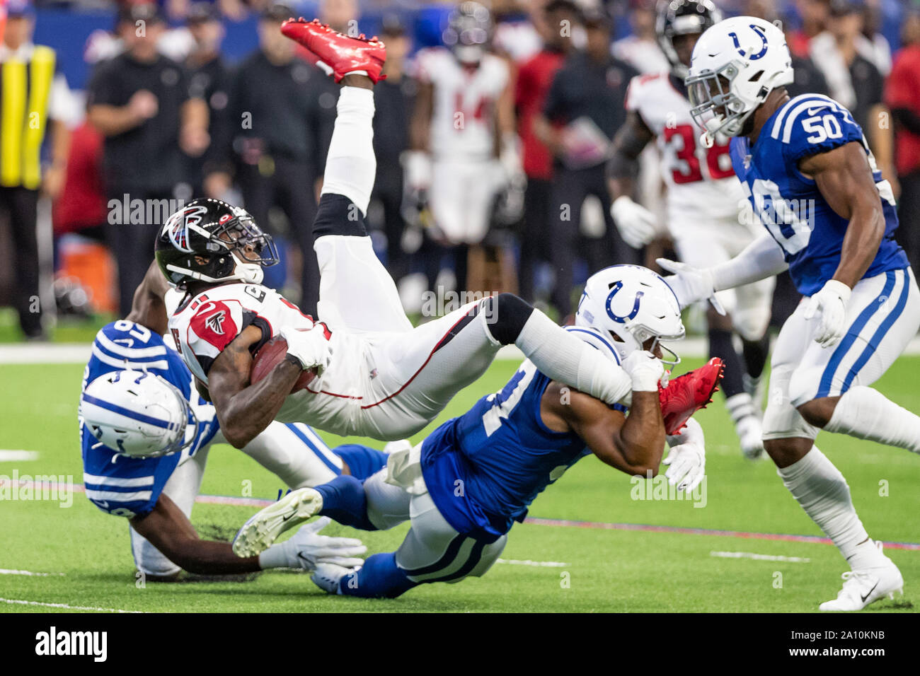 Colts falcons hi-res stock photography and images - Alamy