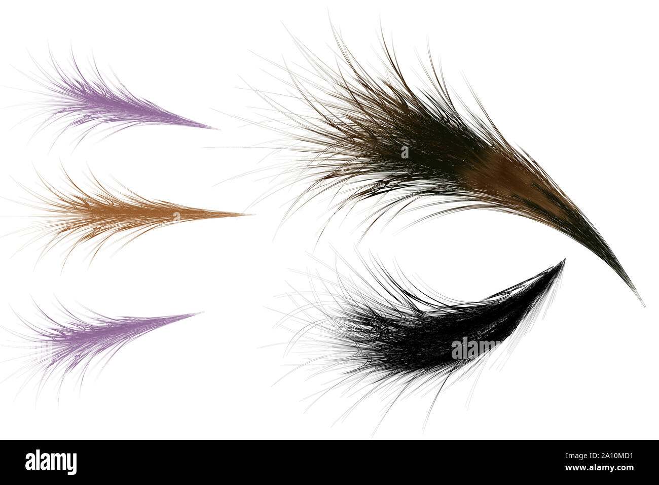 Different feathers illustration isolated on white background Stock ...