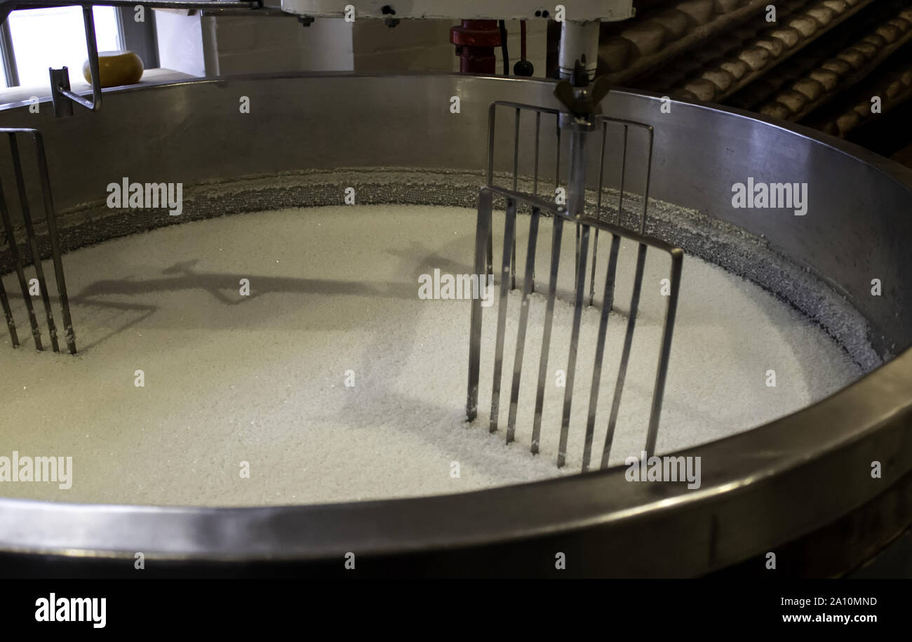 Cheese making dairy, milk and food industry Stock Photo Alamy