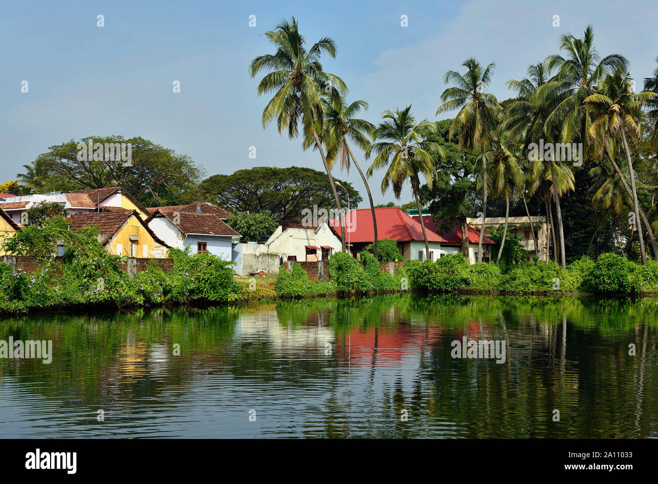 Traditional building development in Kochin, in the background reflecting the tropical flora in the water, Kerala - India. Stock Photo