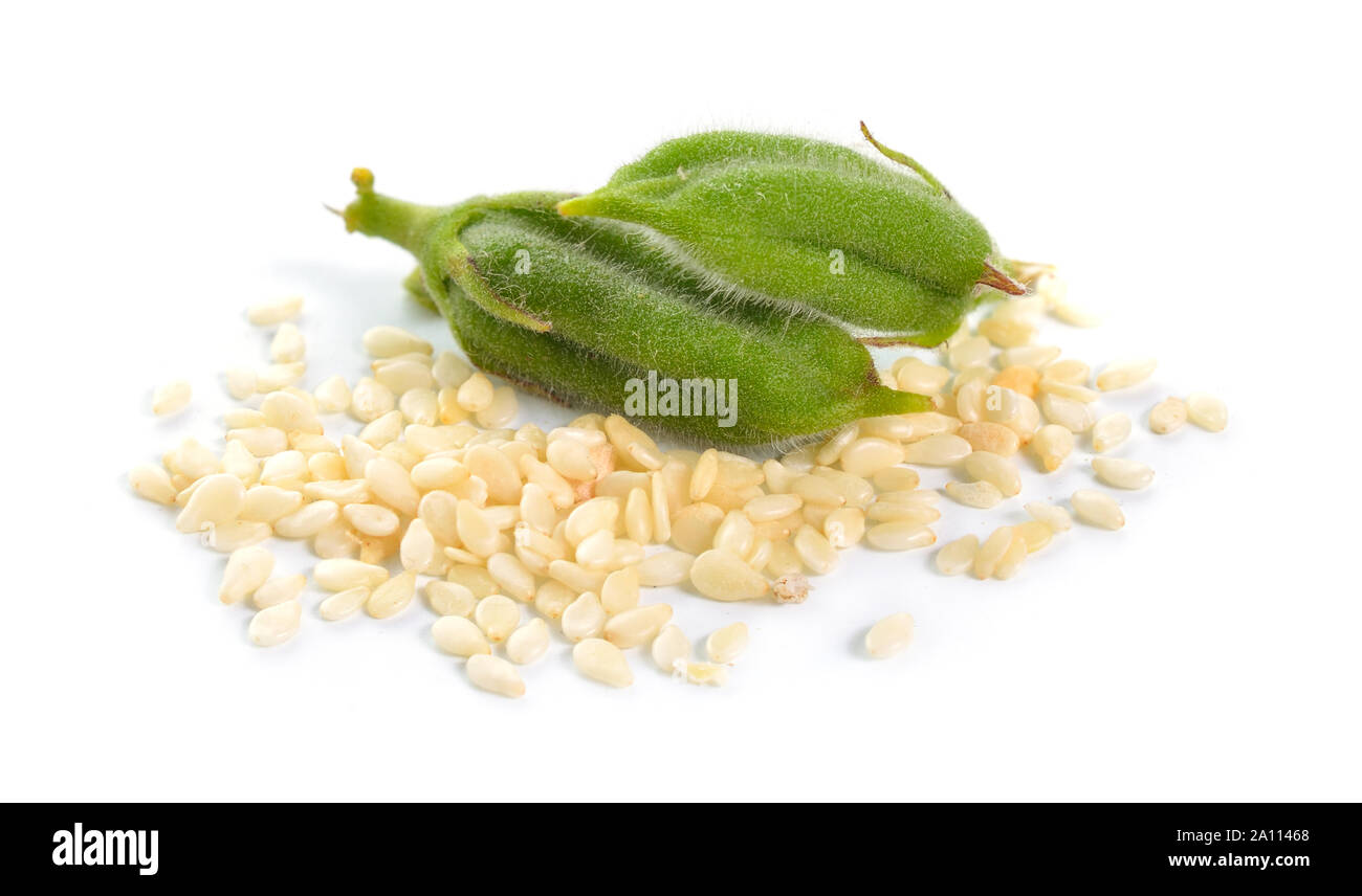 Sesame green pods with seed isolated on white background Stock Photo
