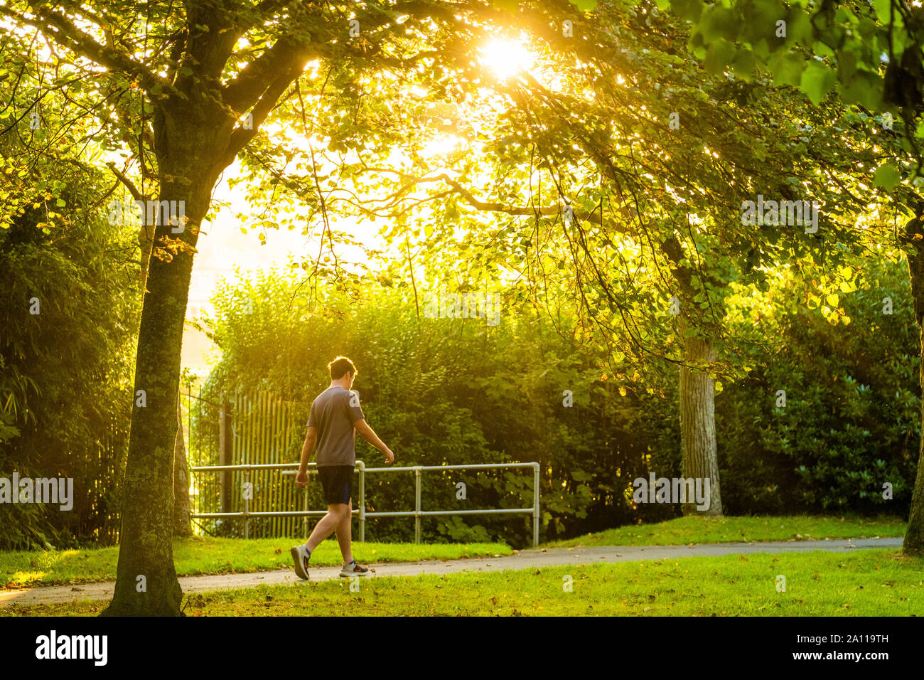 Aberystwyth, Wales, UK. 23rd Sept, 2019. UK Weather: A man walking down Plascrug Avenue at daybreak on a bright and sunny Equinox morning, September 23 2019, the first day of official autumn in the northern hemisphere. Today the length of the day and night are roughy equal. Photo Credit: keith morris/Alamy Live News Stock Photo