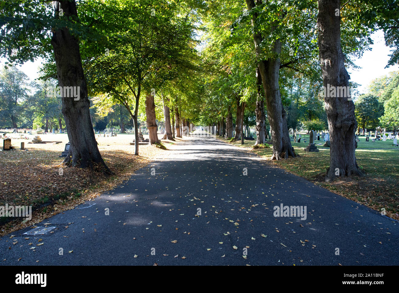 Kingston Cemetery, Portsmouth. This is a peaceful and calm place, popular with not only those visiting graves but also dog walkers and cyclists Stock Photo