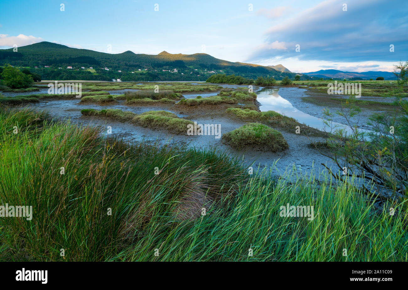 Marshes, Axpe, Urdaibai Biosphere Reserve, Bizkaia, Basque Country, Spain, Europe Stock Photo