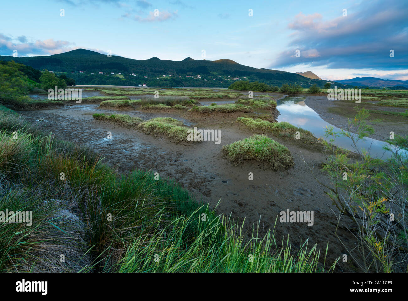 Marshes, Axpe, Urdaibai Biosphere Reserve, Bizkaia, Basque Country, Spain, Europe Stock Photo