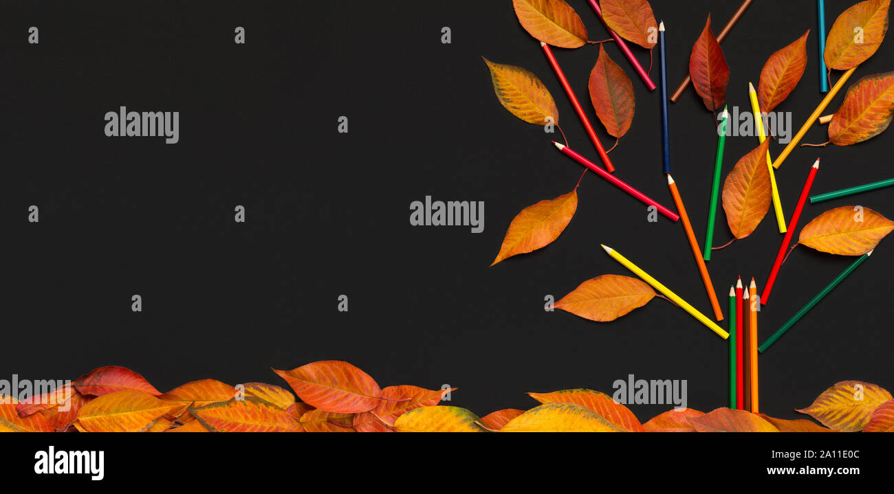 Leaves concept pencil tree hi-res stock photography and images - Alamy