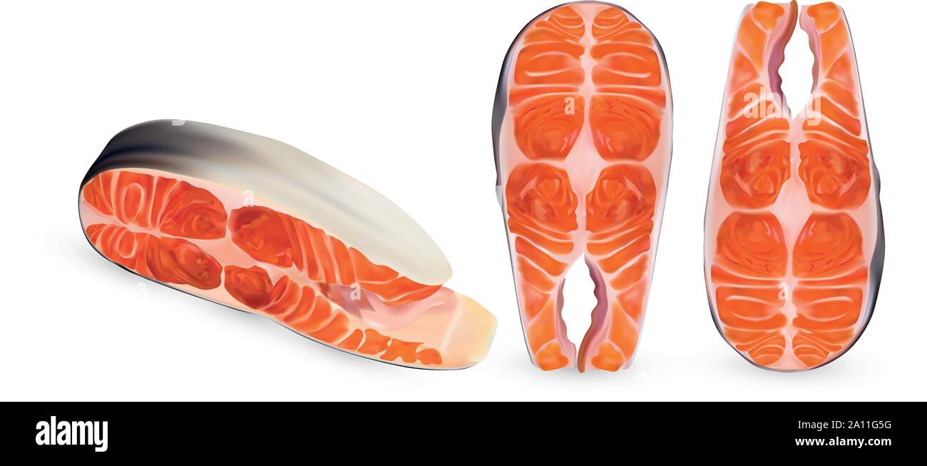Set fillet salmon isolated on white background. 3D realistic slice of ...