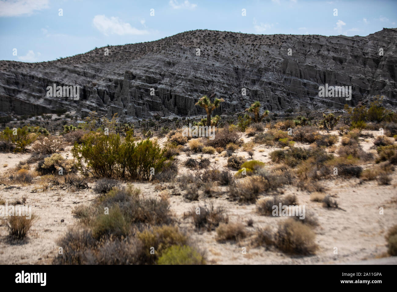Wüste in der Region um Barstow in Kalifornien. Stock Photo
