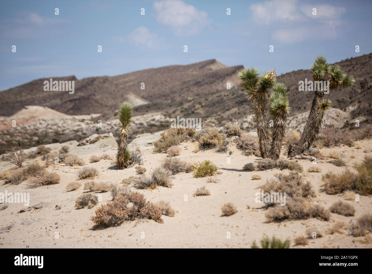 Wüste in der Region um Barstow in Kalifornien. Stock Photo
