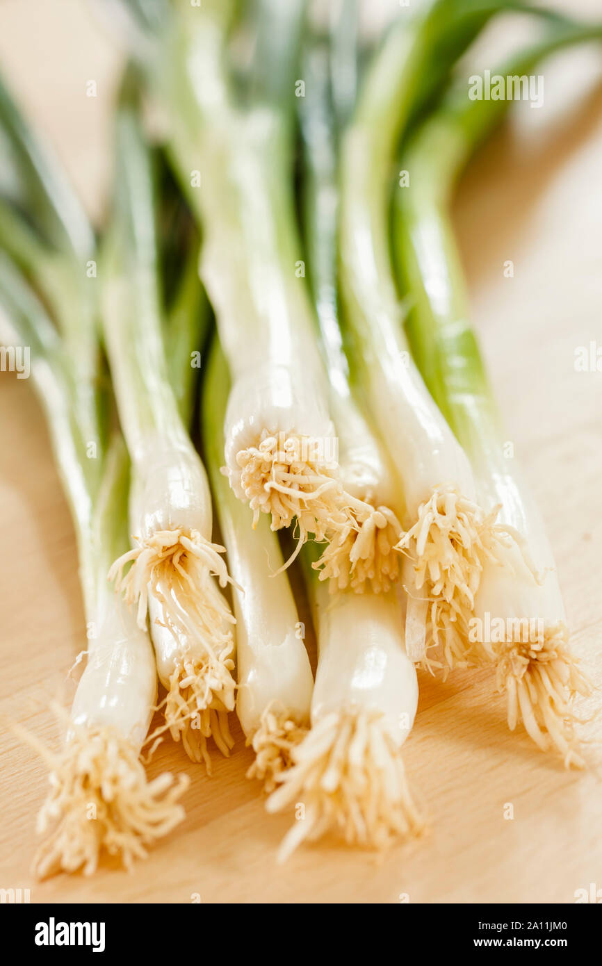 Spring onions bunch Stock Photo