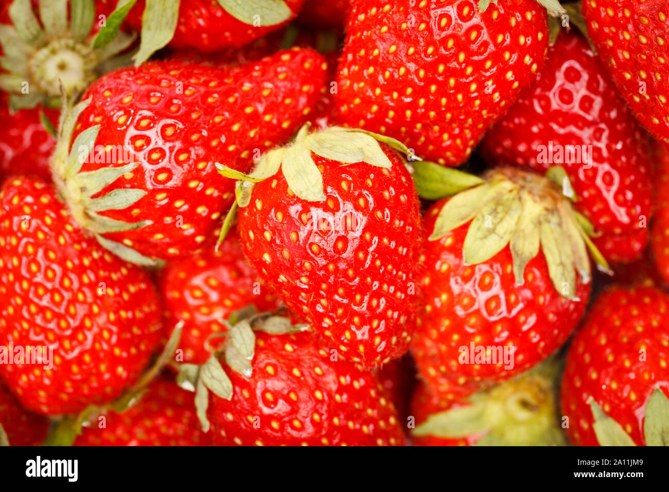 Strawberries close up full frame, pile Stock Photo