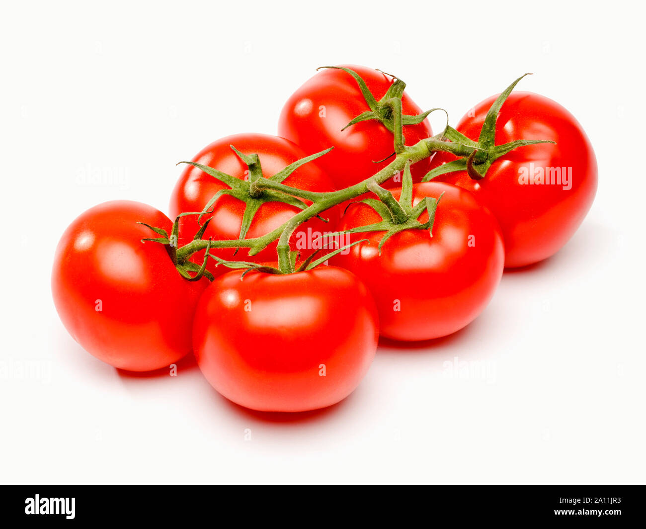 Tomatoes on the vine, cut out Stock Photo