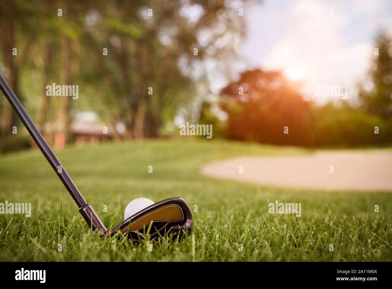 Close up of golf club and ball. Stock Photo