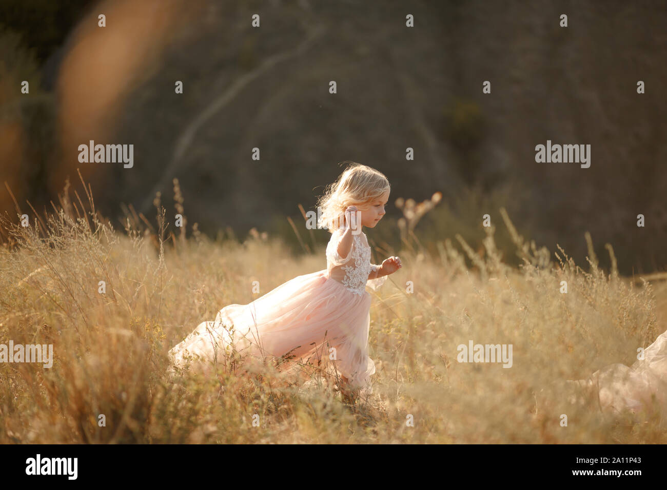 Portrait of a beautiful little princess girl in a pink dress. Posing in ...