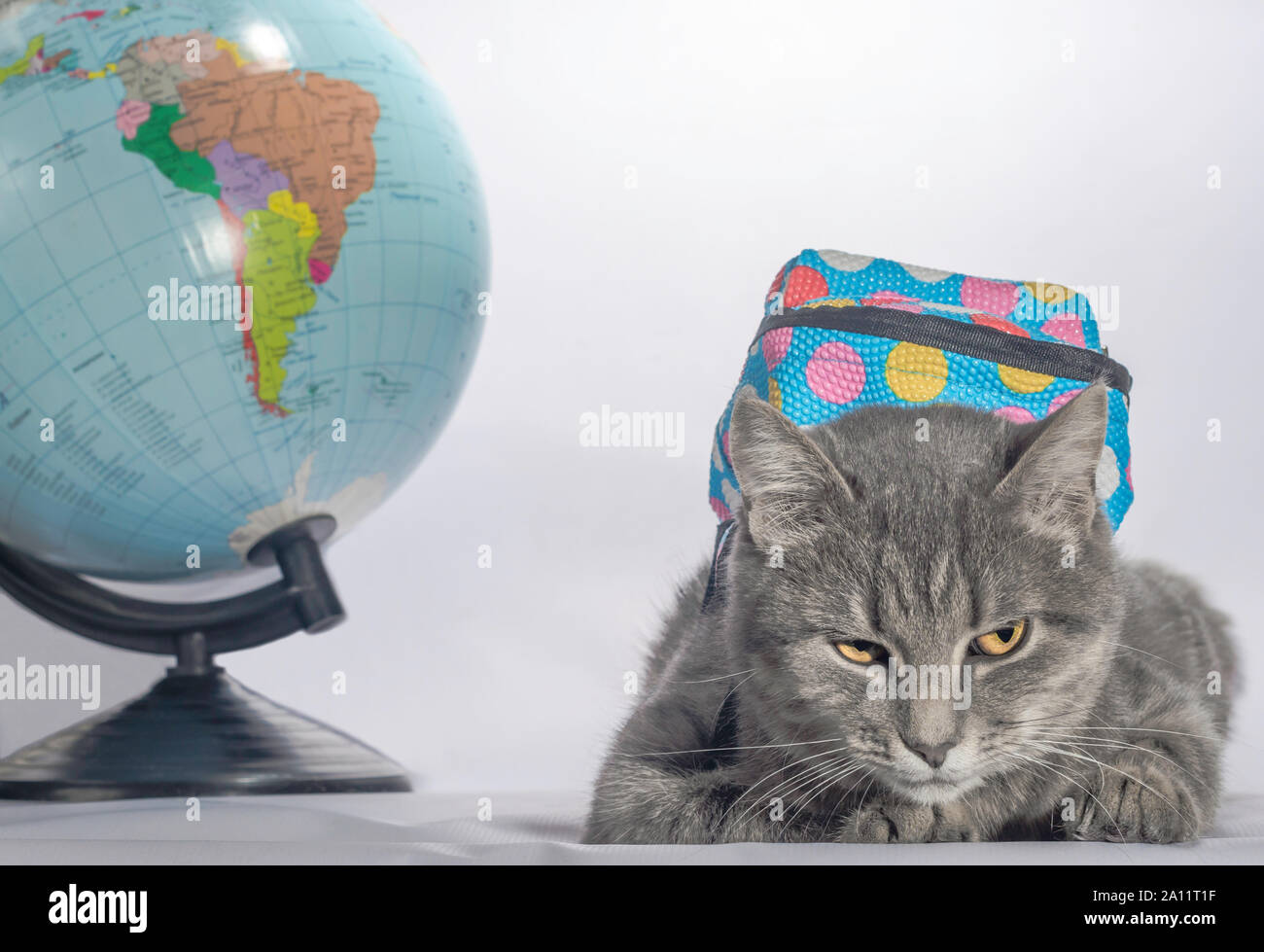 Cat globe backpack hot sale