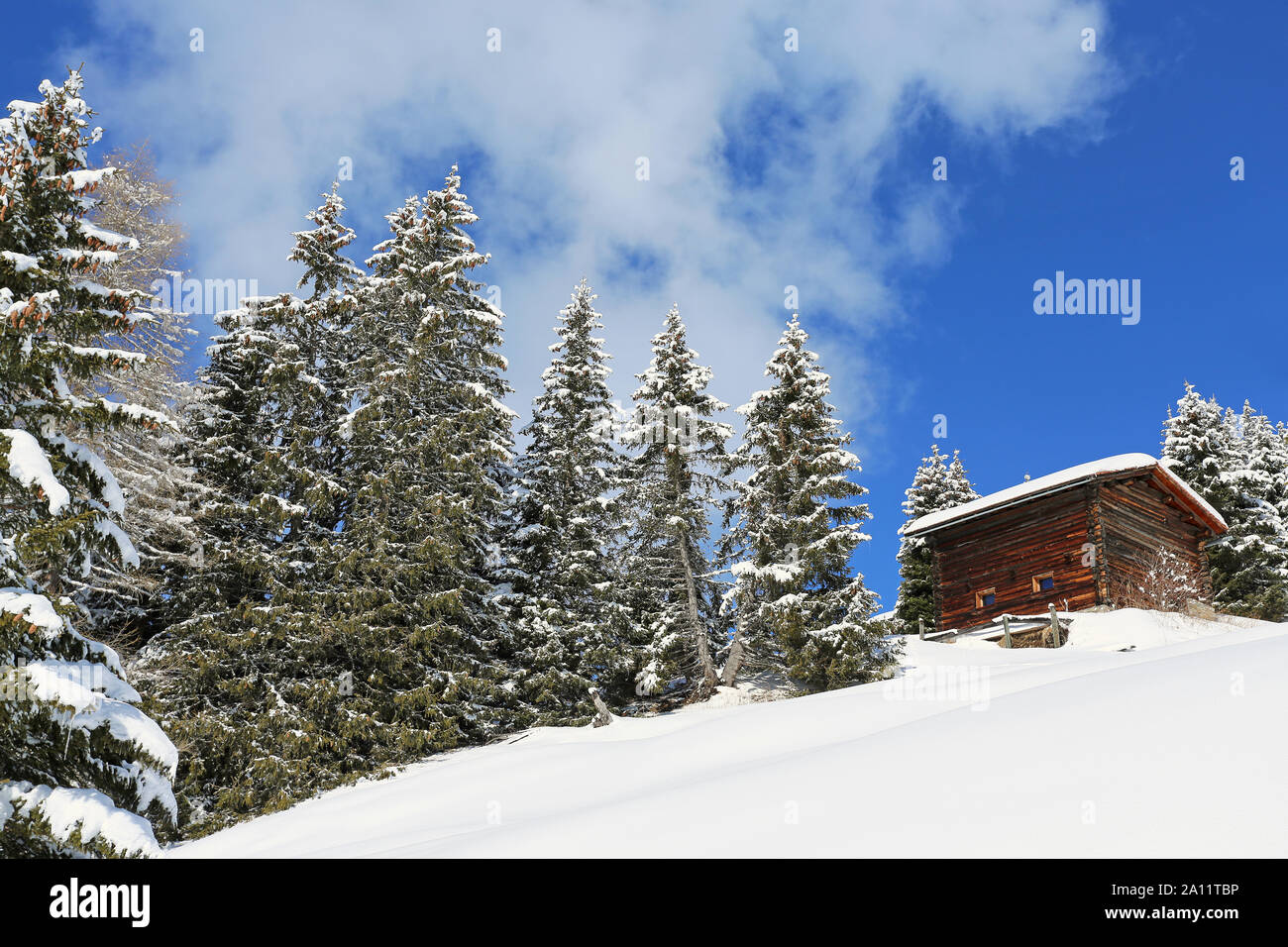 Log Cabin Christmas Snow Trees Stock Photos Log Cabin Christmas