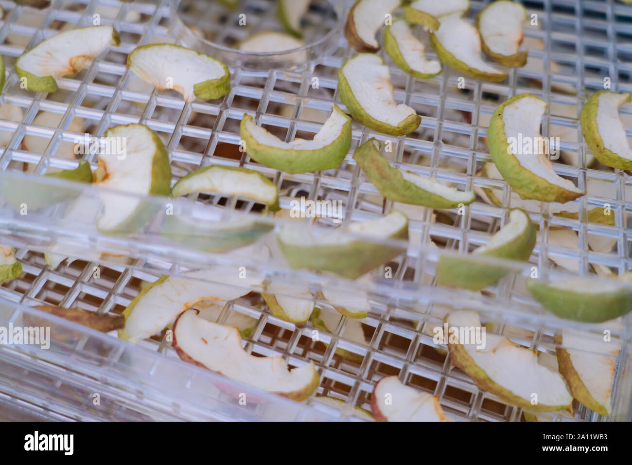 Dehydrating sheets with pieces of apples. Vegetarian apple chips in