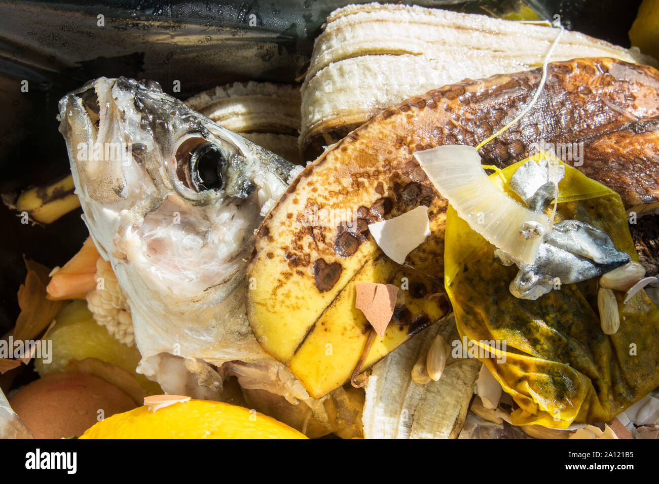 Food waste anaerobic digestion hires stock photography and images Alamy