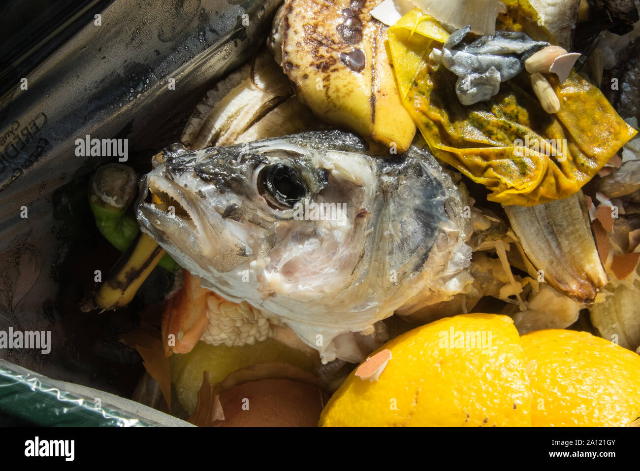 Food waste anaerobic digestion hires stock photography and images Alamy
