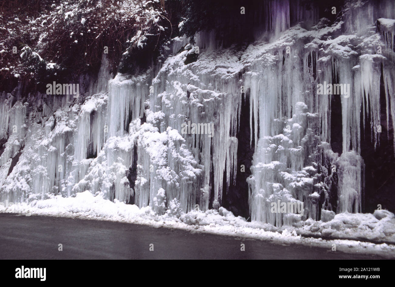 France. Hautes-Pyrenees. Icicles festooning a roadside cliff in the high Pyrenees.Formed by water running out of the forest above. Stock Photo