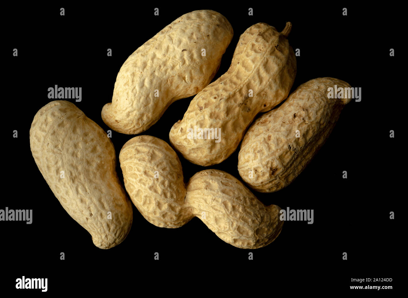 Dried Peanuts in Shells Stock Photo Alamy