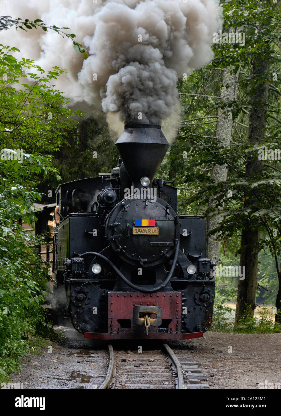 Romanian steam train engine blowing smoke as it comes out of forest in Vaser Valley, Maramures Stock Photo