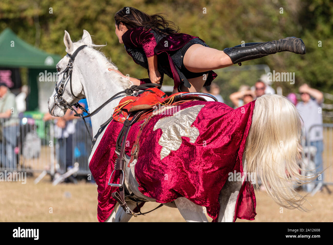 Horse Shows Uk High Resolution Stock Photography and Images Alamy