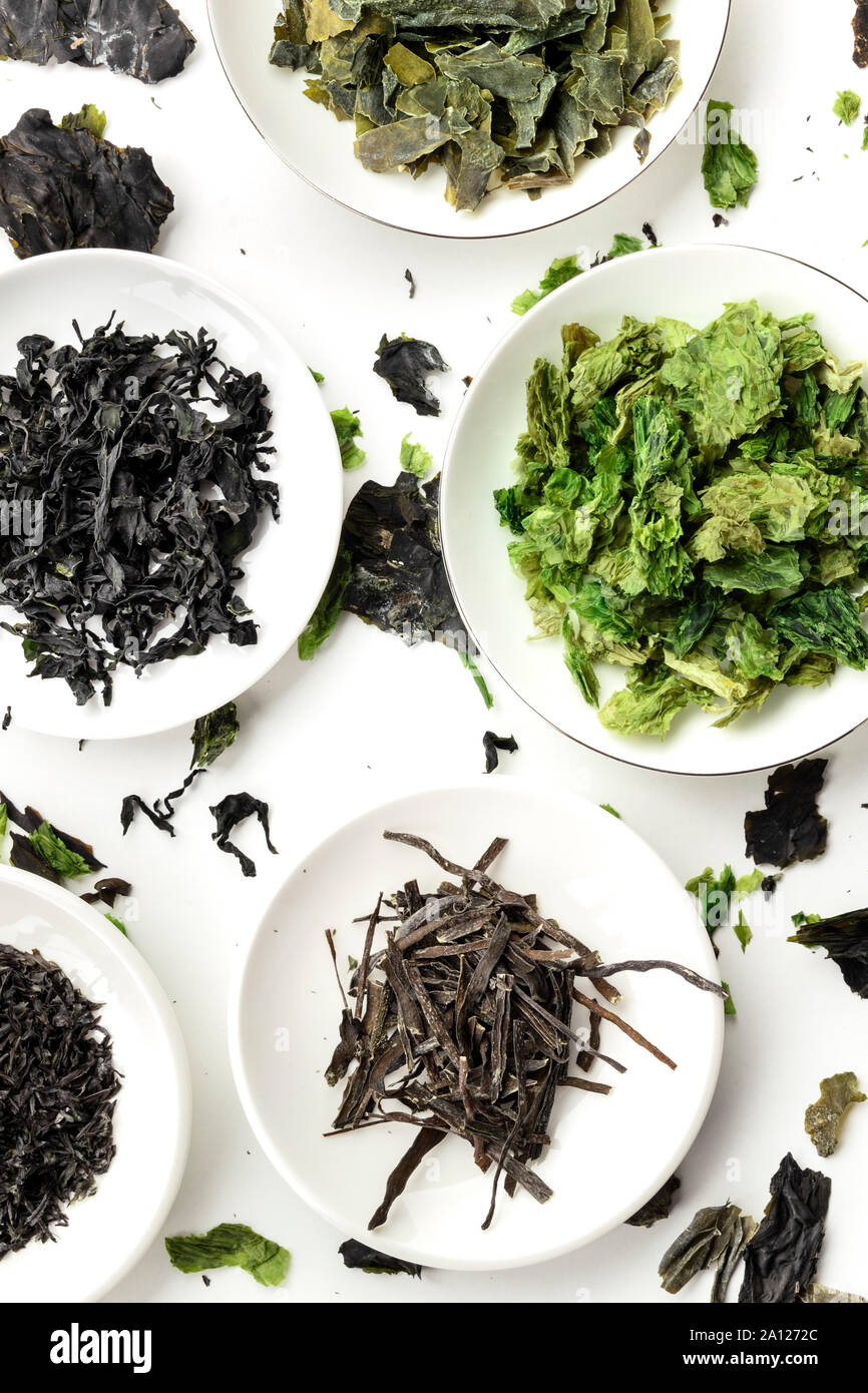 Various dry seaweed, sea vegetables, shot from above on a white background, an assortment Stock Photo