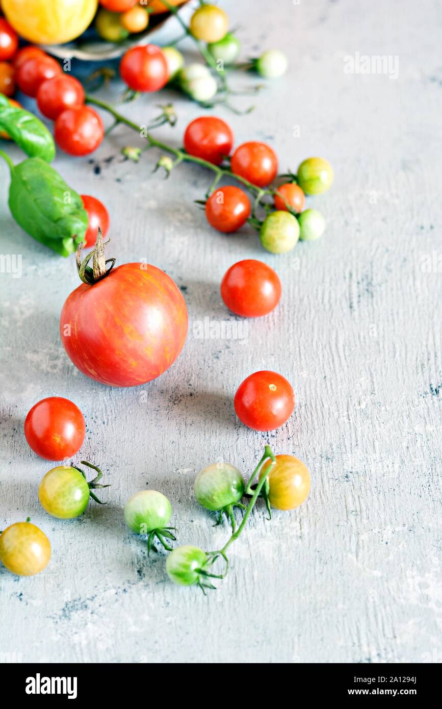 Fresh cherry tomatoes with basil leaves on a gray-blue background ...