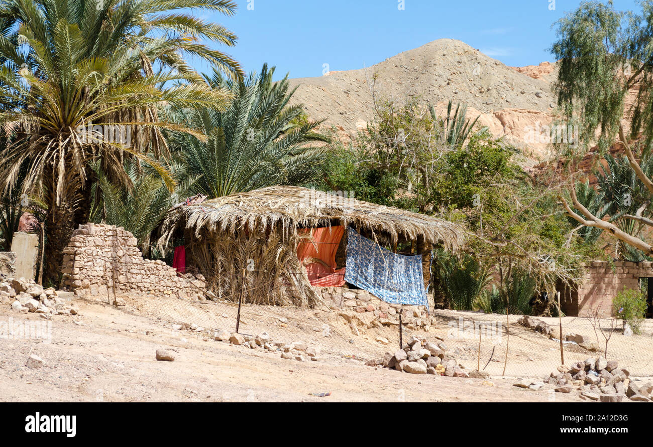 Bedouin village in an oasis in the desert among the mountains in Egypt Dahab Stock Photo Alamy