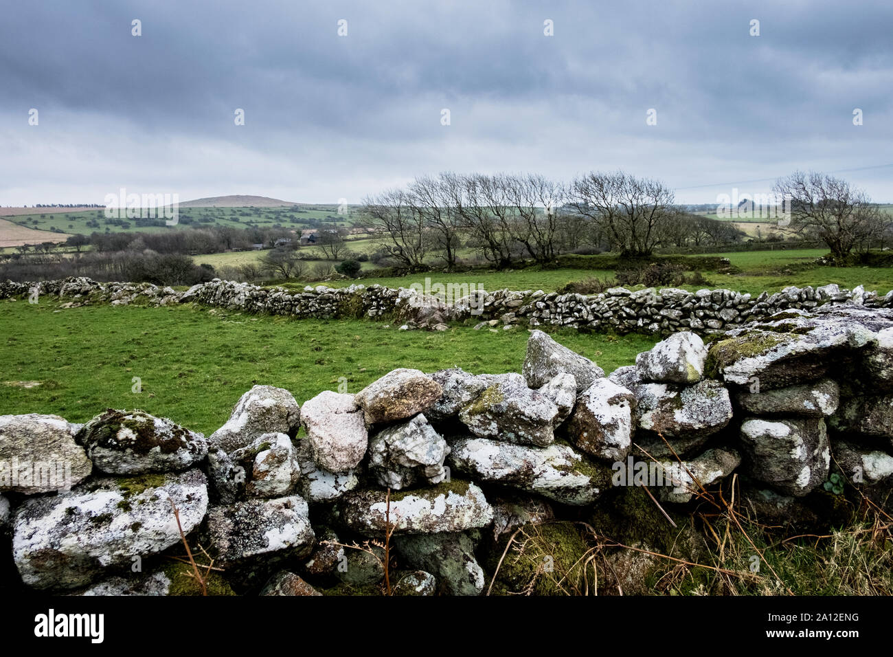 Landscape with dry-stone wall dividing fields, row of trees and hills in the distance. Stock Photo
