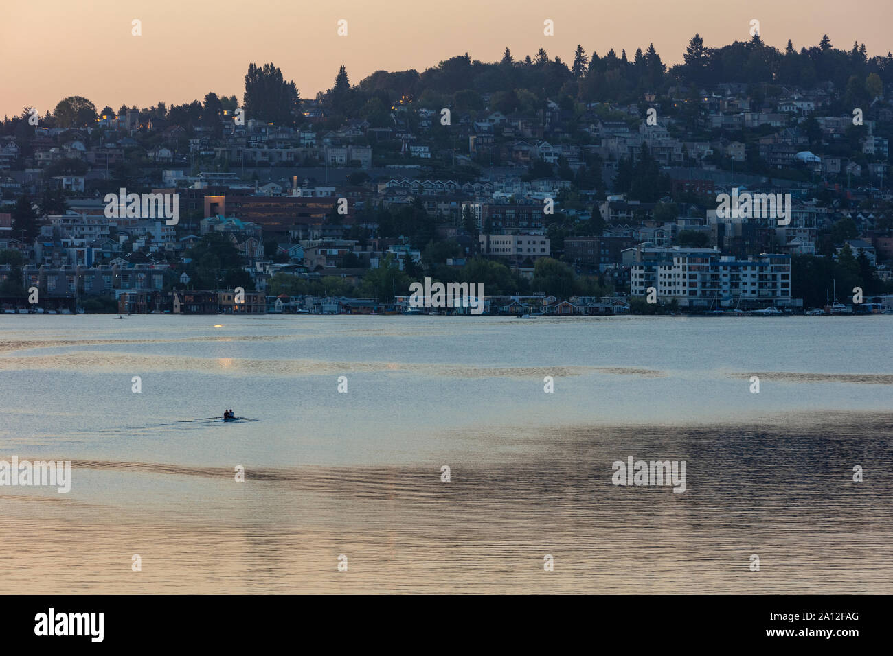 Crew racers rowing double scull boat on Lake Union at dawn, Seattle, Washington, USA. Stock Photo