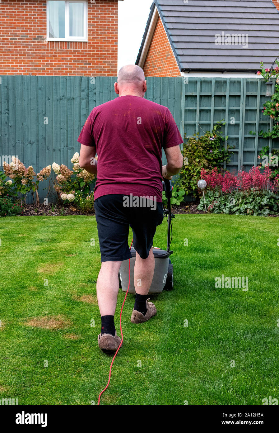 Man mowing his lawn with a Spear and Jackson electric lawnmower (back to camera) Stock Photo