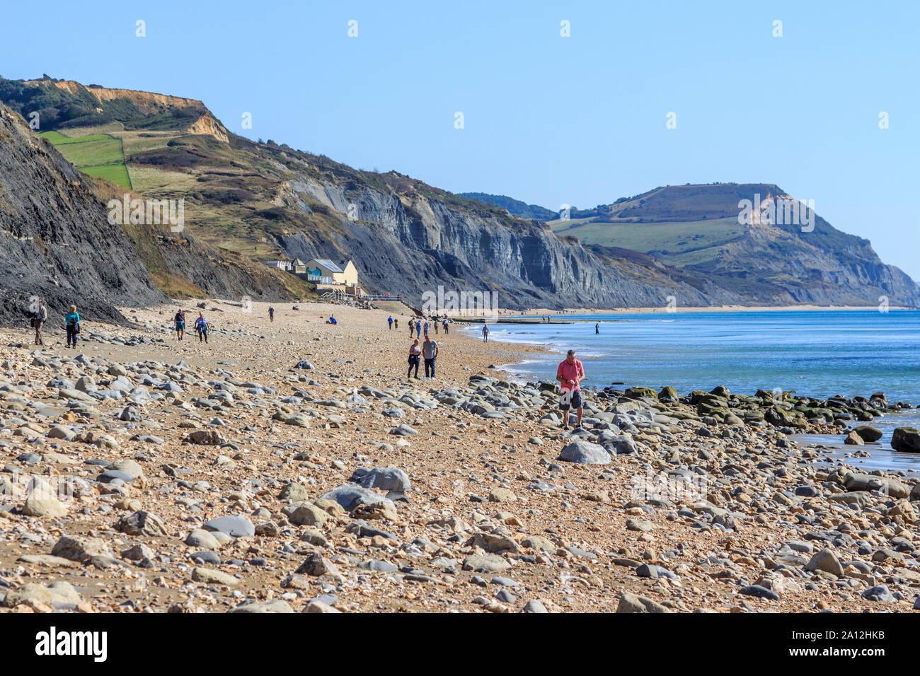 crowds of people fossil hunting on charmouth seaside resort, crumbling cliff strata, fossil hunting beaches, south coast, england, uk, gb Stock Photo