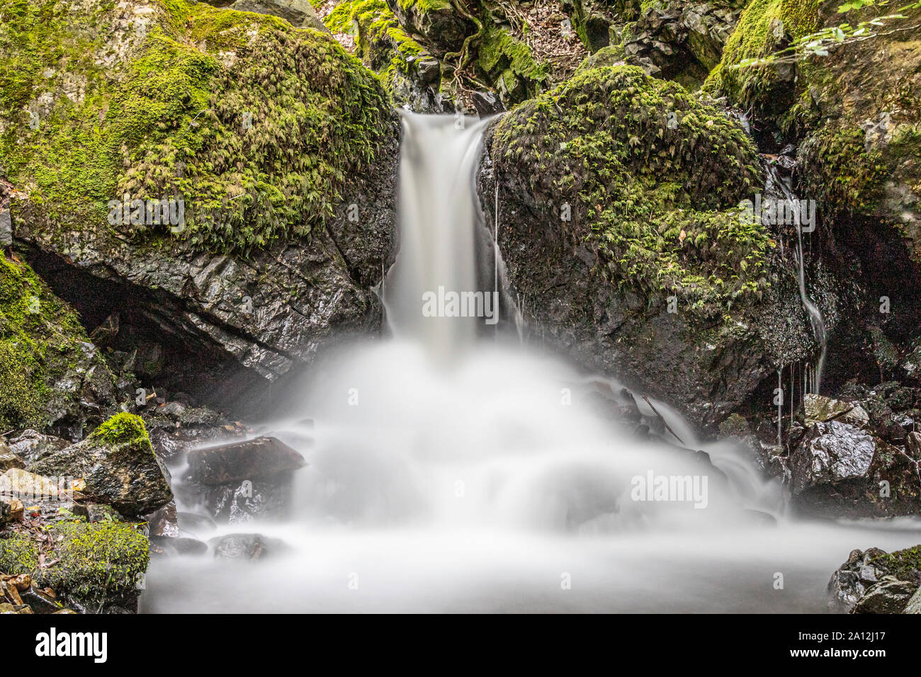 Tom Gill falls below Tarn Hows, near Coniston, Lake District, Cumbria, England Stock Photo