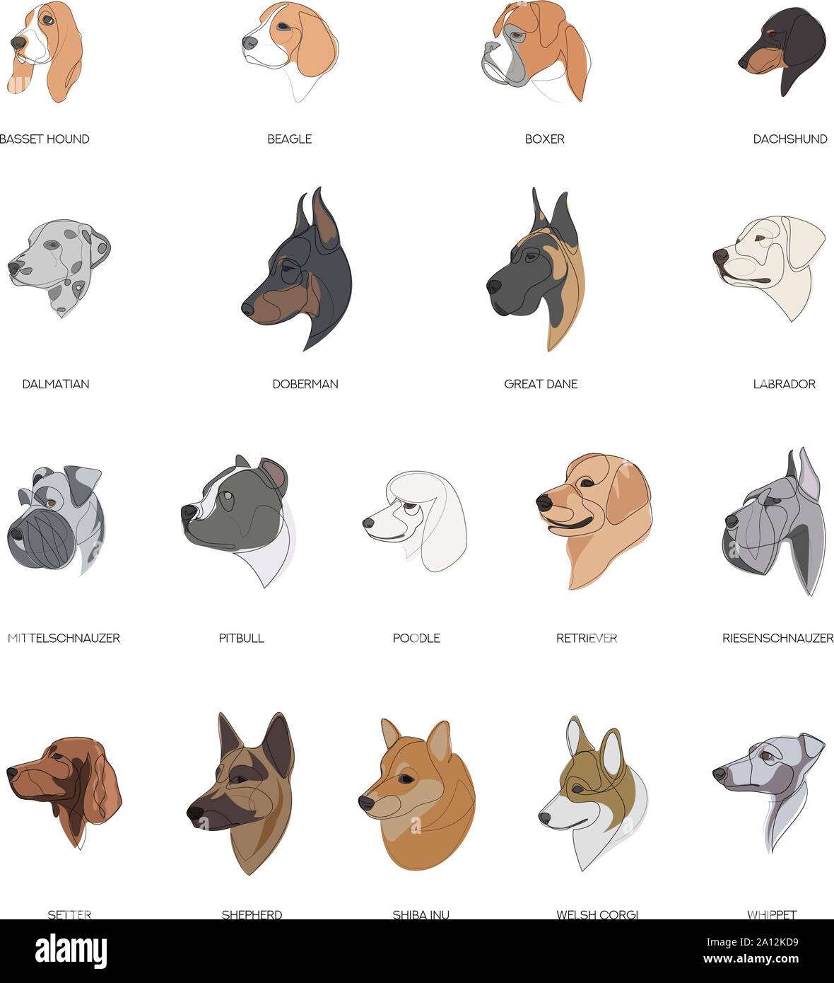 Breeds of dogs drawn in minimal style set. Minimal vector illustration Stock Vector