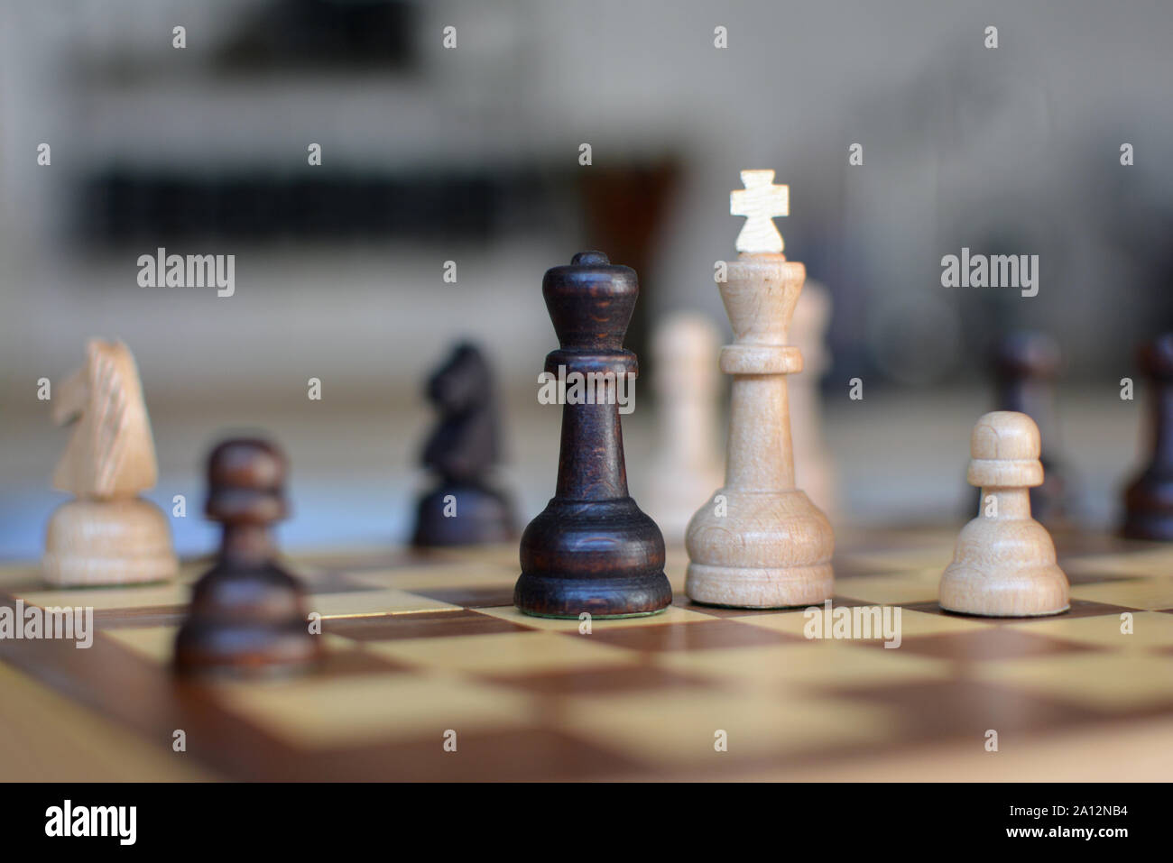 Chess board game with focus on black and white queen pieces on blurry Stock Photo