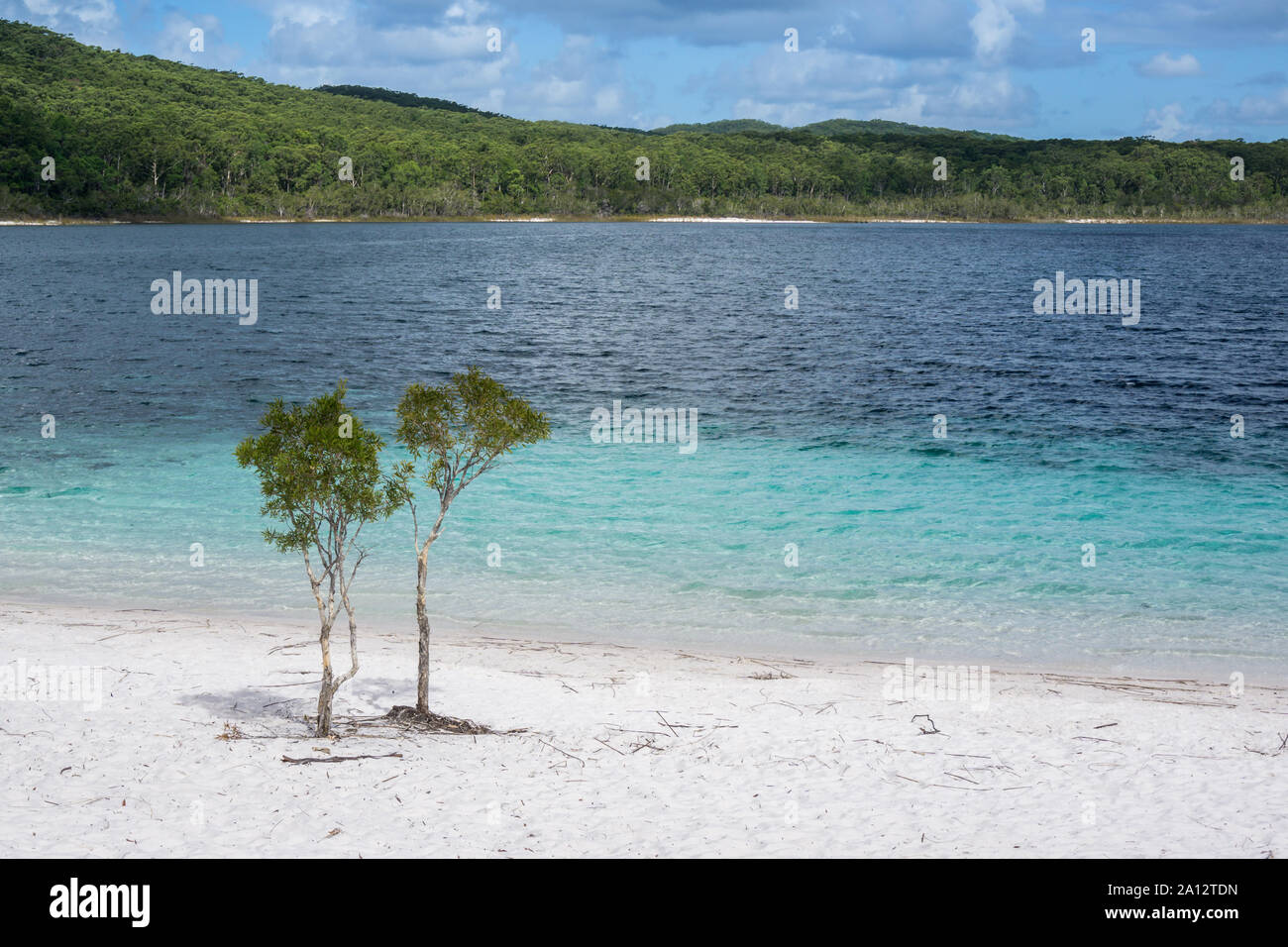 Lake McKenzie, Fraser Island, Queensland, Australia Stock Photo Alamy