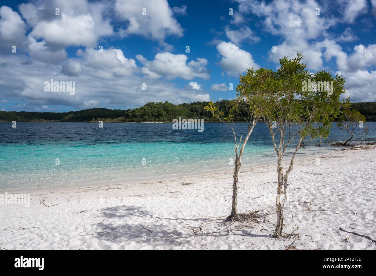 Lake McKenzie, Fraser Island, Queensland, Australia Stock Photo Alamy