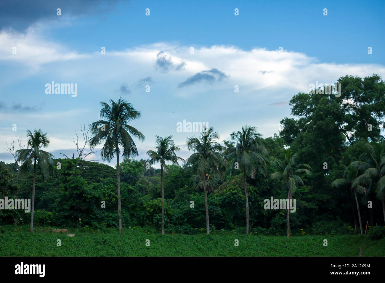 Bangladesh beautiful scenery hi-res stock photography and images - Alamy