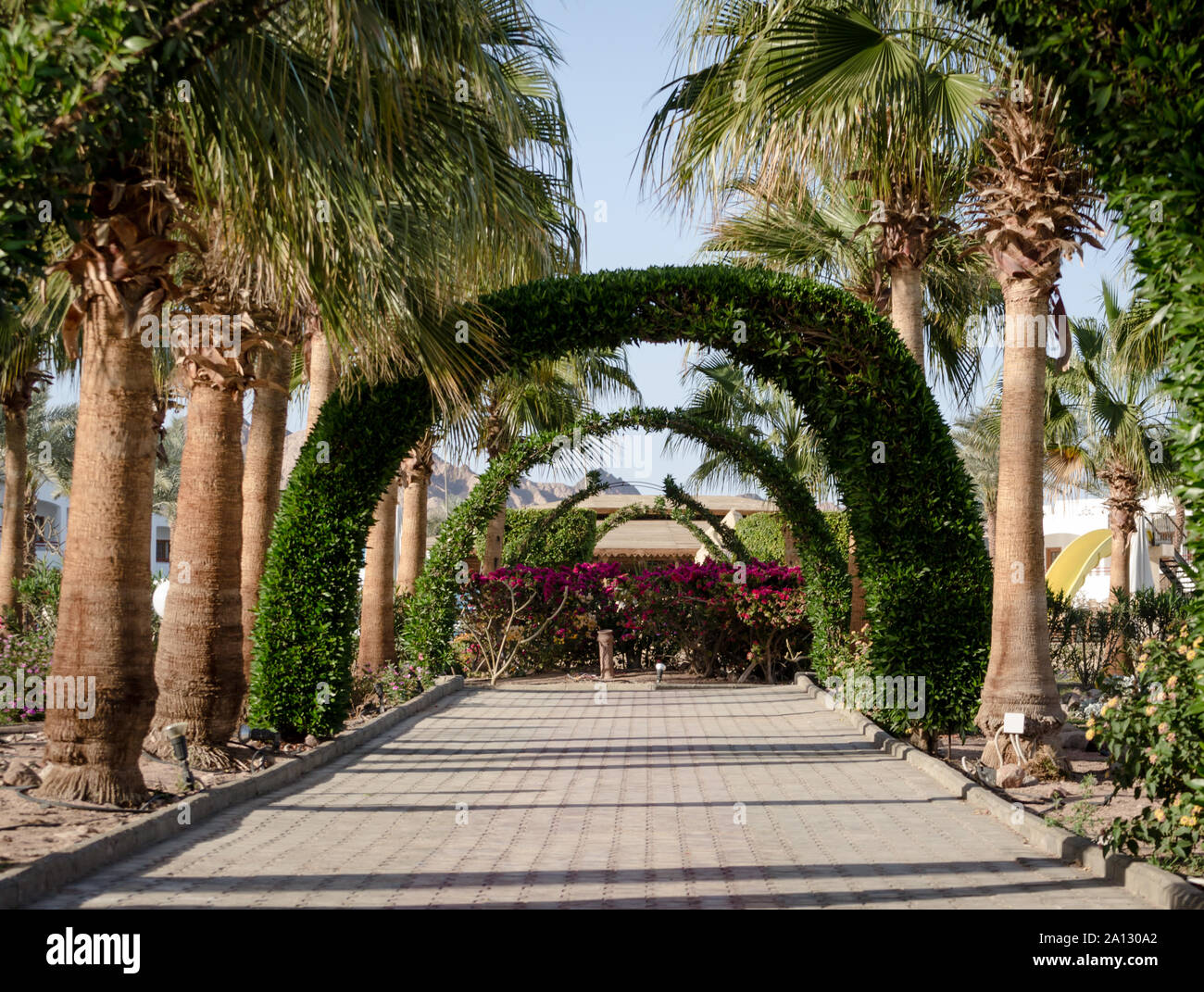 Alley arch plants palm hi-res stock photography and images - Alamy