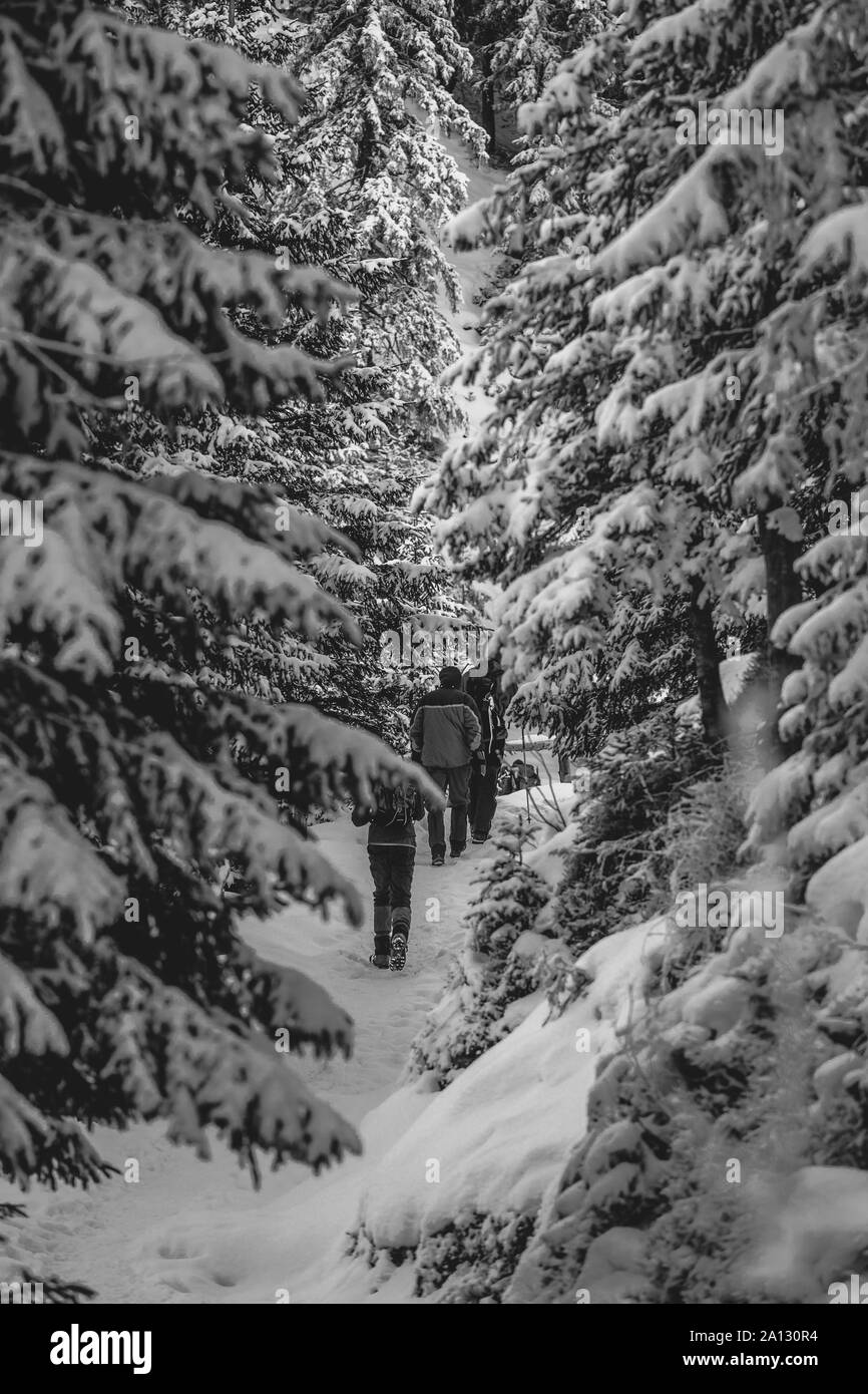 Alone tourist in high mountain Black and White Stock Photos & Images ...