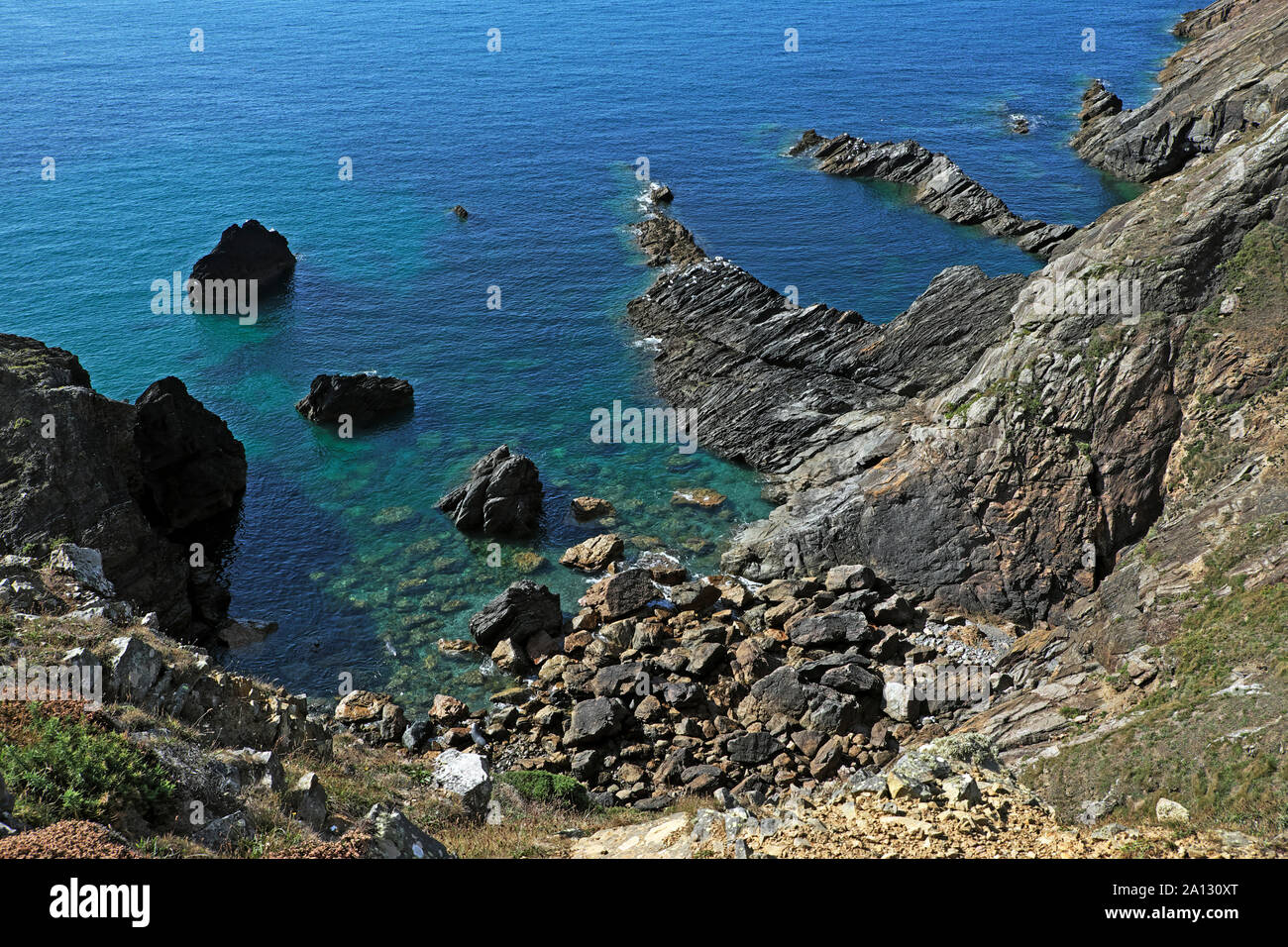 View from Wales Coast Path near Martin's Haven looking down at white seabirds on rocks and rocky shore Pembrokeshire Wales UK  KATHY DEWITT Stock Photo