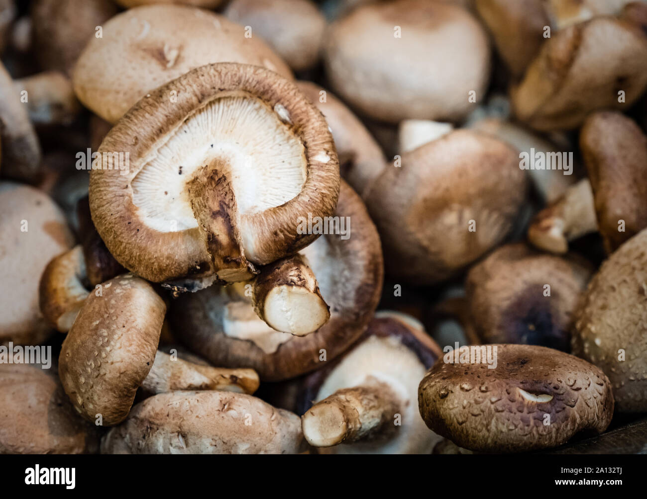 Cremini Mushrooms On Sale At Borough Market, London Stock Photo Alamy