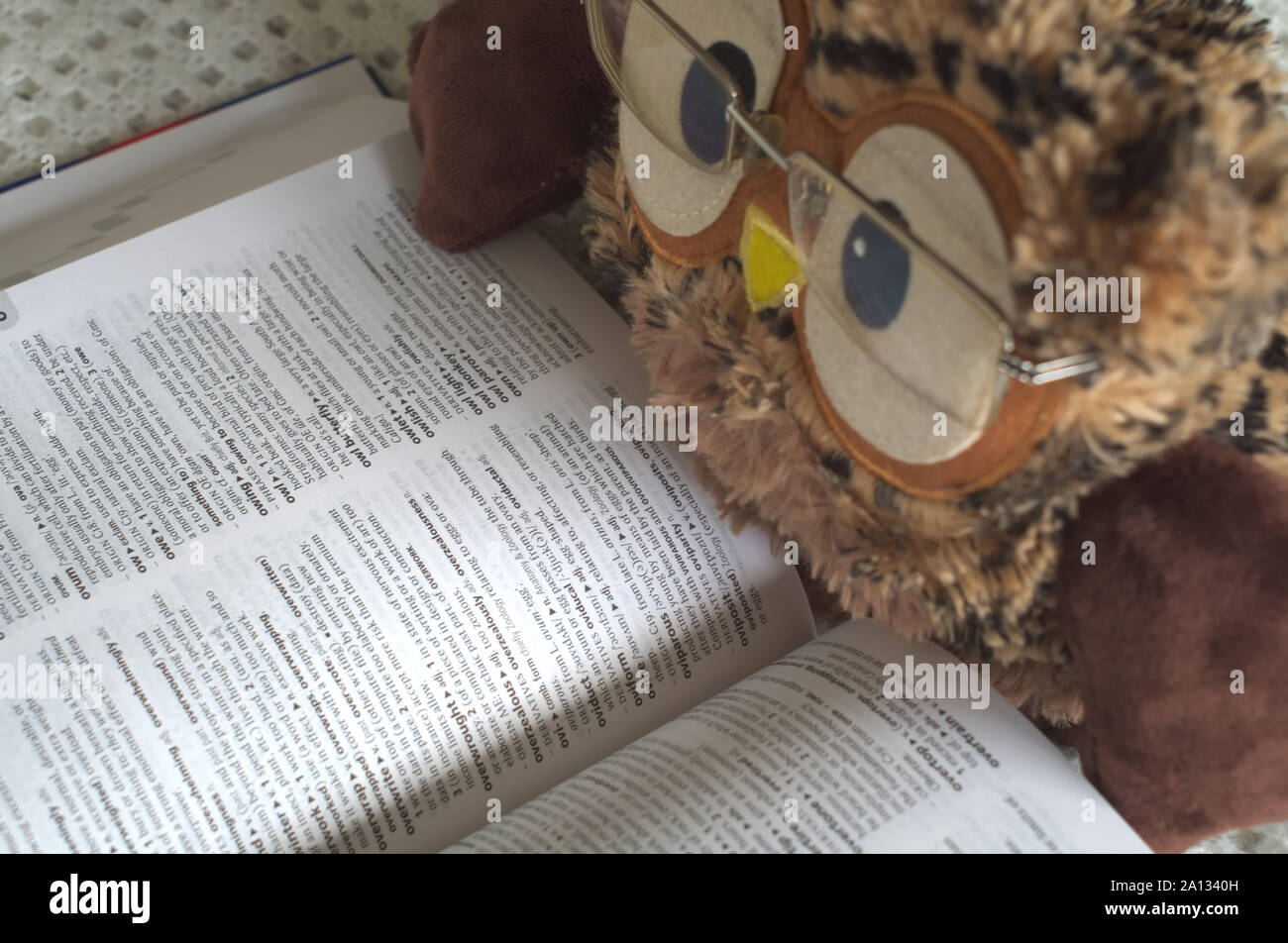 Toy Owl With Glasses on Reading a Dictionary Stock Photo