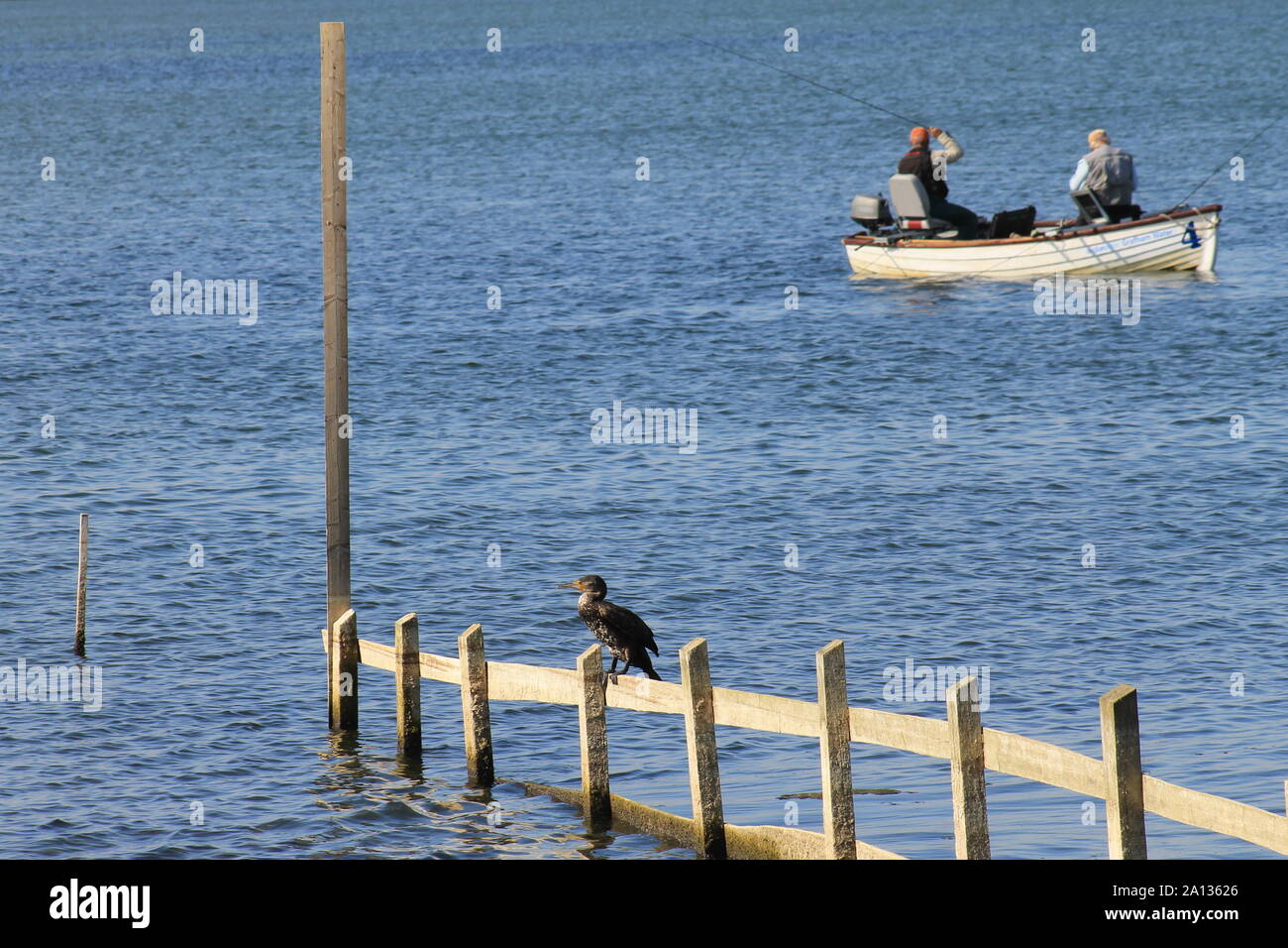 A Cormorant sat on a wooden fence whilst men fish from a boat Stock Photo