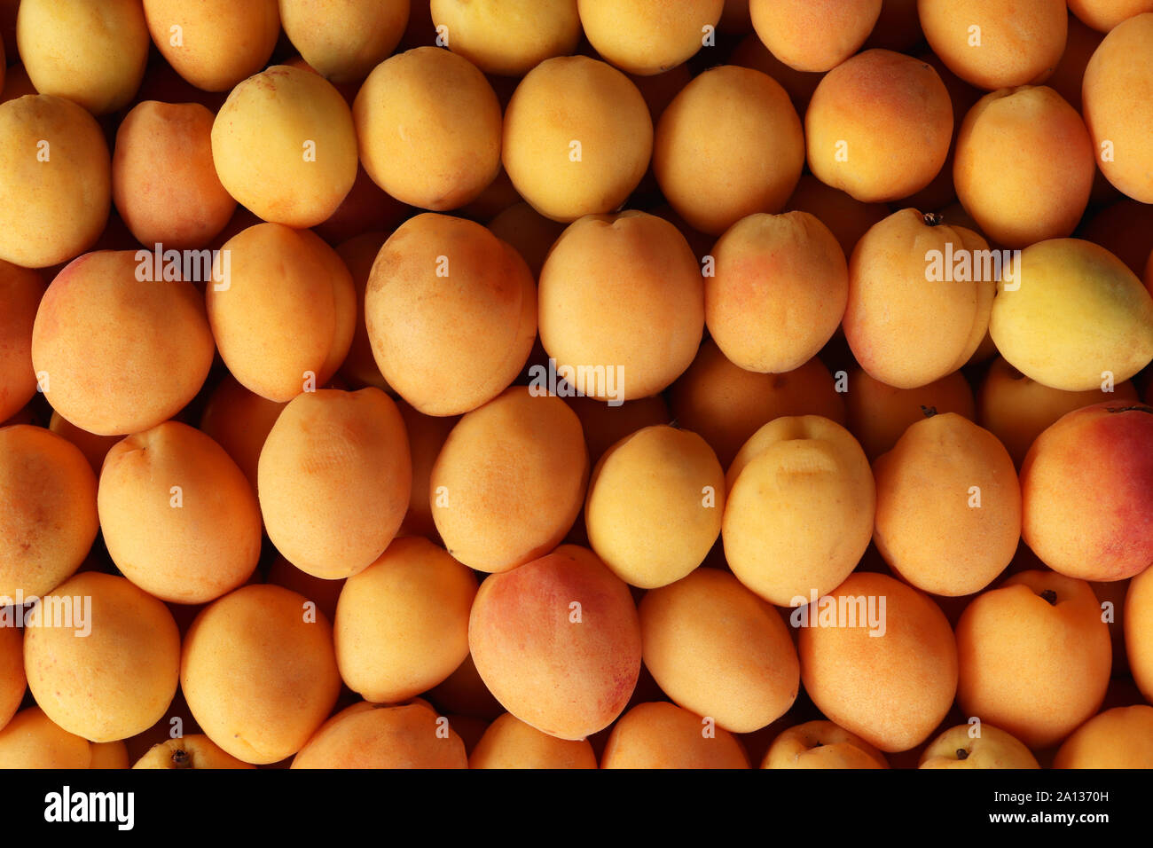 Apricot filling texture. Apricots freshness background Stock Photo Alamy