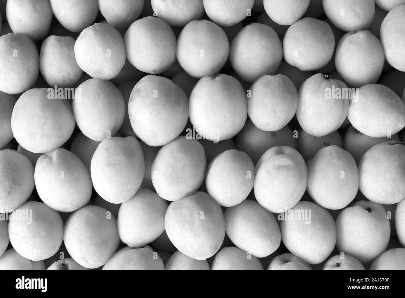 Black and white apricot filling texture. Apricots freshness background. Stock Photo