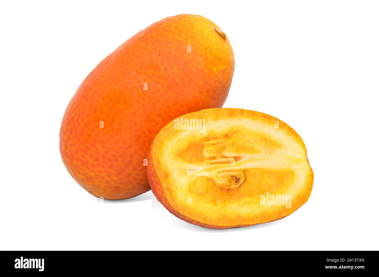 Kumquat and its crosssection 3d rendering with realistic texture
